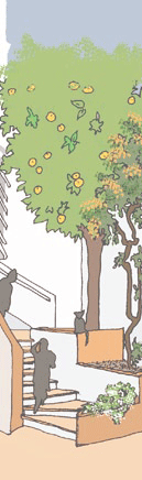 dessin d'un projet de cours-jardin à Alger